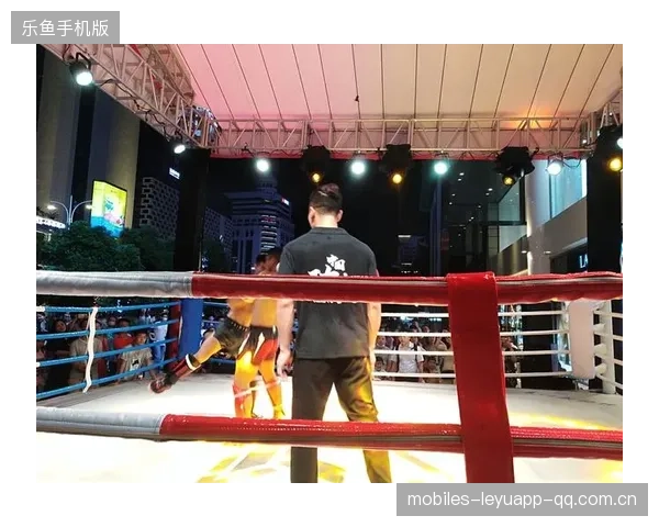 西安市第八期拳击裁判员培训班报名开启——携手拳击梦想，展翅飞翔！
